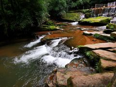 -中国大熊猫保护研究中心雅安碧峰峡基地