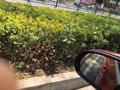 -索拉古贝(义乌北苑店)
