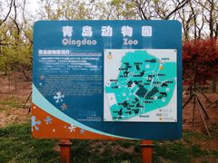 -青岛动物园