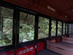 -济州森林小火车生态公园