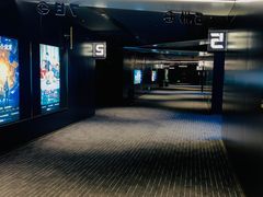 -奥斯卡升龙国际影城(RealD Cinema)