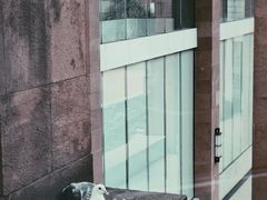 -广州人民艺术中心