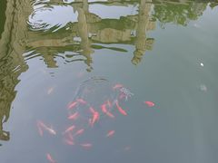-香积寺