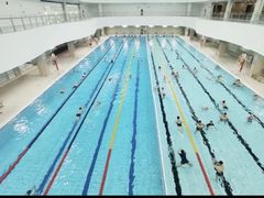 -重庆市奥林匹克体育中心-游泳跳水馆