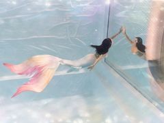 -上海潜殿潜水中心