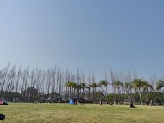 -江心屿景区
