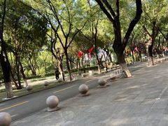 -山东大学(趵突泉校区)