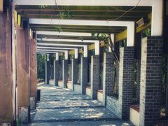-上海吴淞炮台湾国家湿地公园