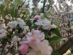 -元大都城垣遗址公园