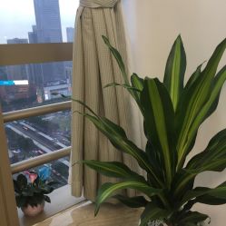 -OnHair造型