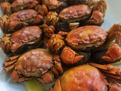 -百丈园龙江啫神馆