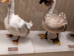 -中国农业博物馆