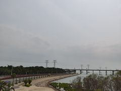 -宝安西湾红树林湿地公园