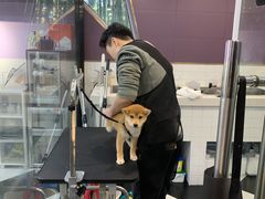 -Oh My Dog宠物沙龙(伊珊娜皮毛护理店)