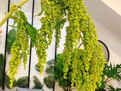 -森野花艺培训·企业团建活动沙龙