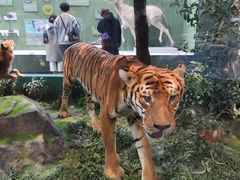 -国家自然博物馆