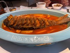 -阿五黄河大鲤鱼(英协路店)