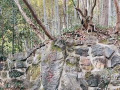 -兰亭风景区