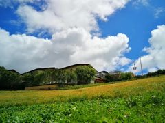 -森果咖啡(人民西路店)