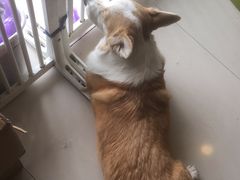 -平行世界·猫咖(首经贸店)