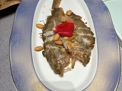 -湯記傳菜