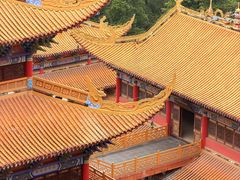 -东莞市大岭山森林公园