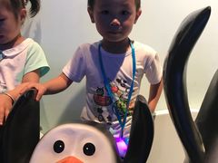 -芜湖新华联大白鲸海洋公园