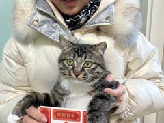 -纳吉亚猫专科动物医院博雅分院