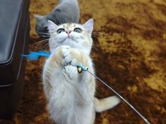 -大悦城(沈阳中街店)