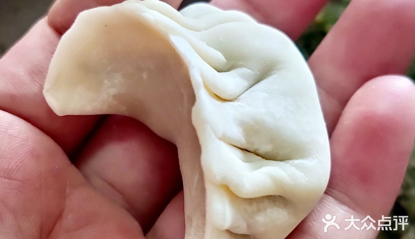 3步搞定茴香饺子，1岁宝宝也爱吃！