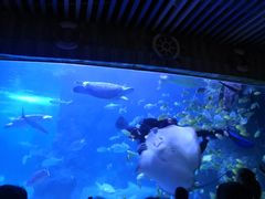 -左海海底世界
