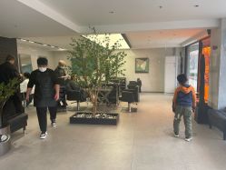 -付军剪艺JF ProSalon