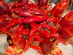 -红盔甲·小龙虾(人民广场店)