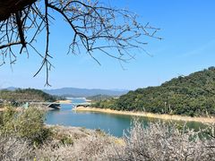 -广州市流溪河国家森林公园