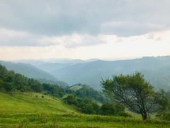 -关山草原