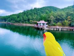 -明月山风景名胜区