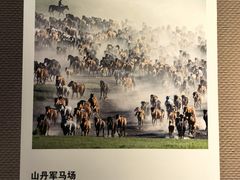 -张掖市博物馆