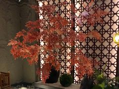 -富侨养生(银都路店)