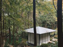 -中国茶叶博物馆(双峰馆区)