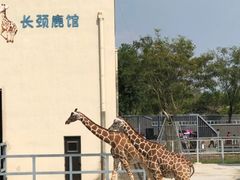 -上方山森林动物世界