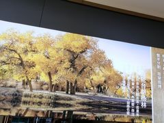 -胡氏大盘鸡新疆菜(谈固店)