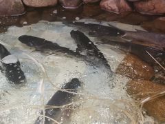 -一桶江山餐厅(松北店)