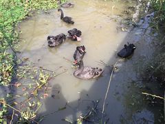 -泉州海丝野生动物世界