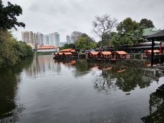 -侨美·唐荔园·40年地道粤菜