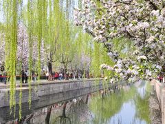 -海棠花溪(元大都城垣遗址公园)