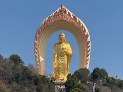 -庐山风景名胜区-东林大佛