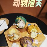 杭州必打卡‼️悉尼网红动物泡芙🐻好吃爆