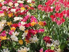 -香山公园-东宫门售票处