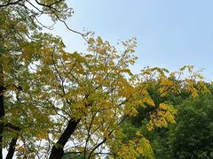 -玄武湖景区-情侣园游乐场