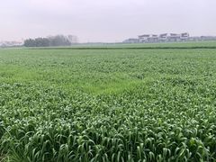 -中国天府农业博览园